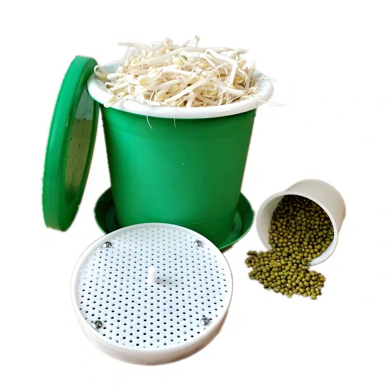 2019 year Mung beans for sprouting green mung beans