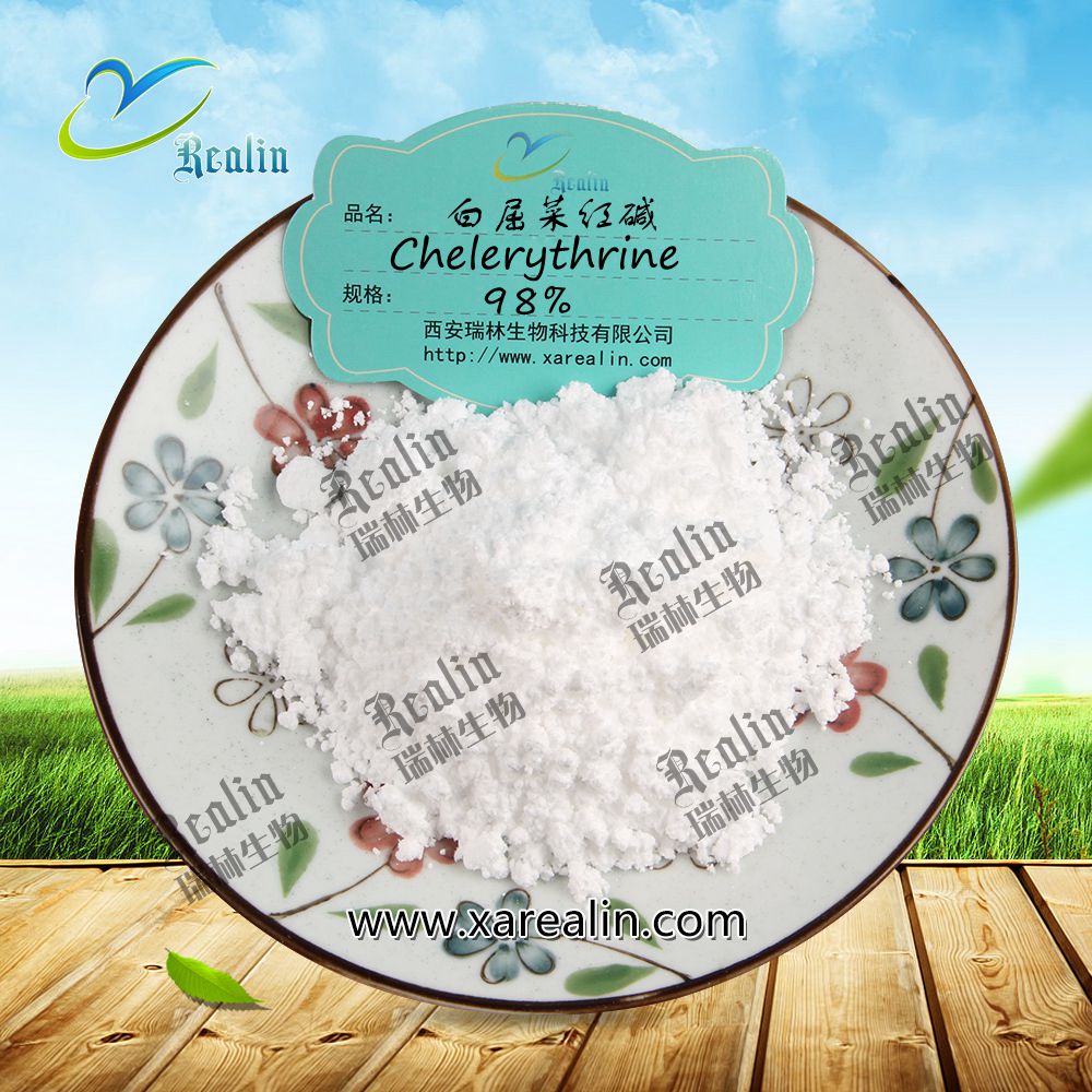 Health Care Products Materials Clearing Heat Detoxification 98% Pure Chelerythrine Powder