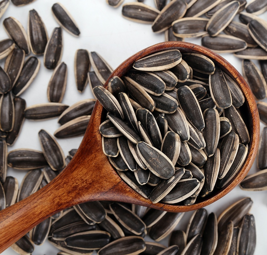 crop in 2020 high quality nuts raw material 363 sunflower seeds