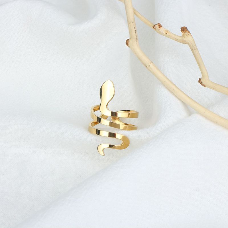 2021 New Geometric Glossy Metal Twisted Snake Ring Simple Open Ring Fashion Trend Stainless Steel Jewelry Wholesale Retail