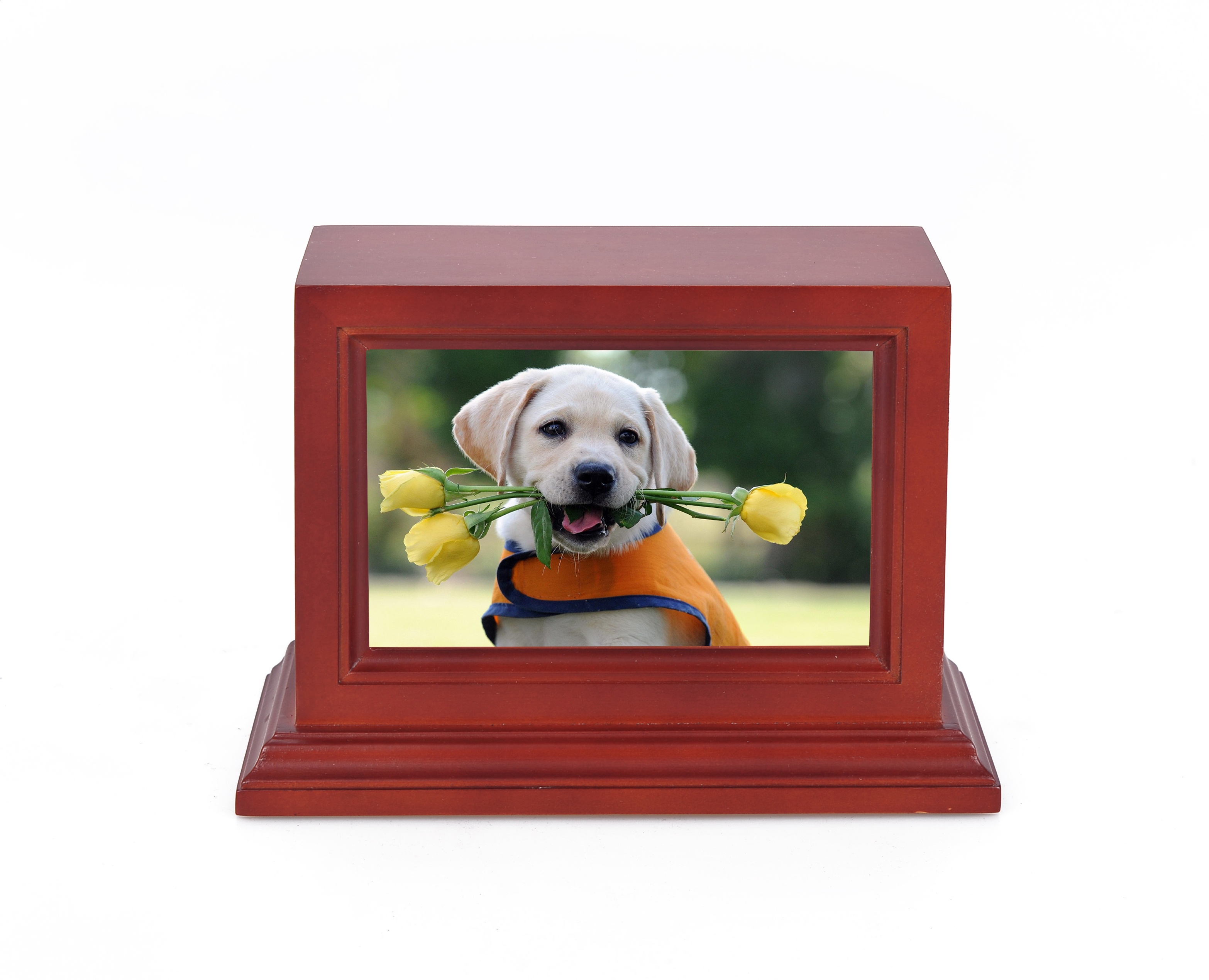 MKYB013 pet Мемориал урна фото ПЭТ урна деревянный ПЭТ урна коробка