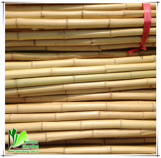 Подставка для растений bambu на продажу