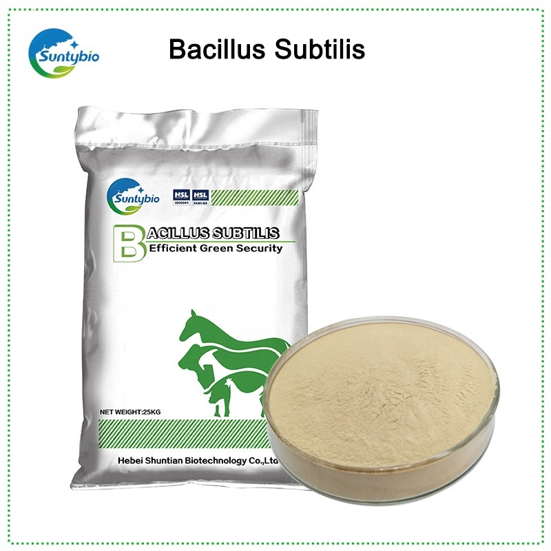 Популярные биофлок пробиотические высокое качество Bacillus Subtilis