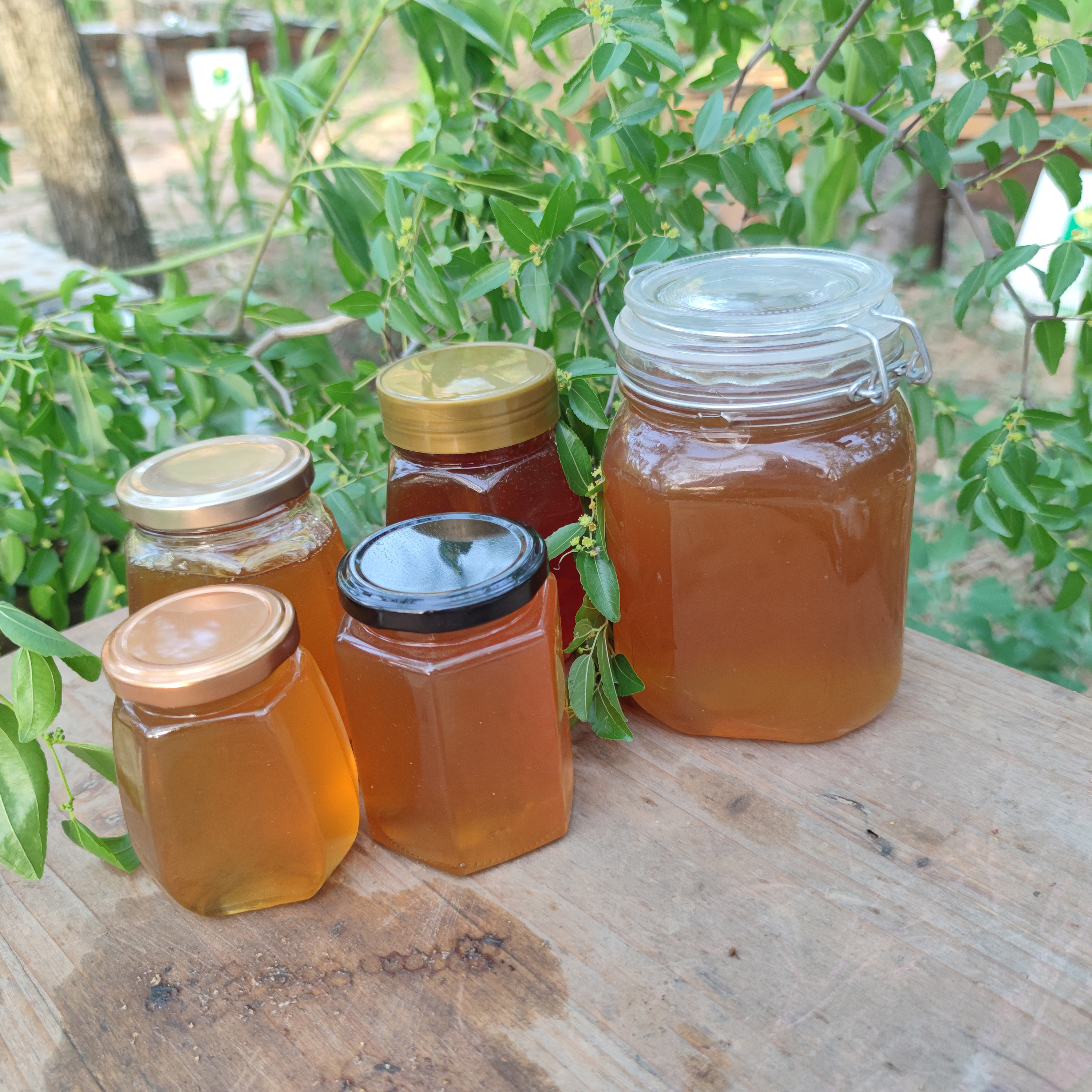 Pure Real Honey 100% Natural Honey From Factory