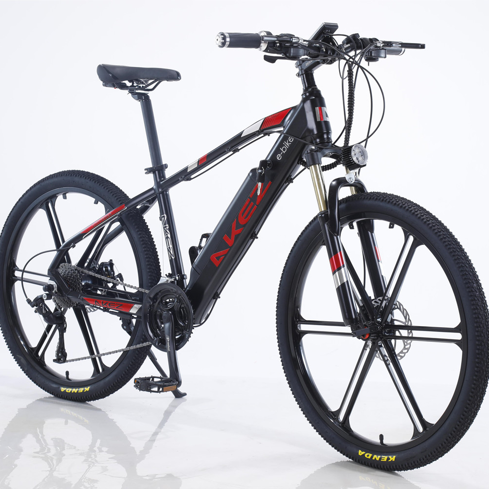 Factory Wholesale Mtb Lithium Battery Electric E Bicycle Mountain Bike With The Display