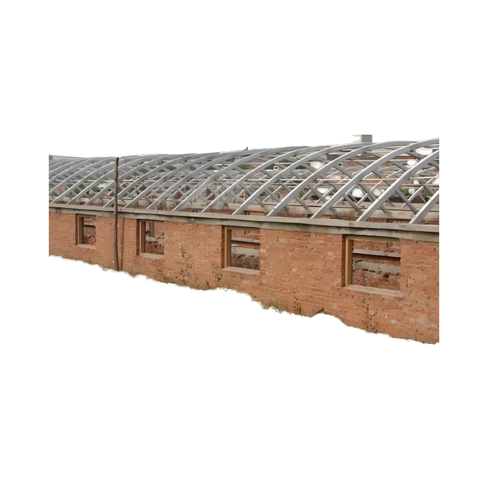 Customizable Modern Style Large Scale Poultry Farm Breeding Greenhouse Low Cost Single Square Made Film Steel Agriculture Plant