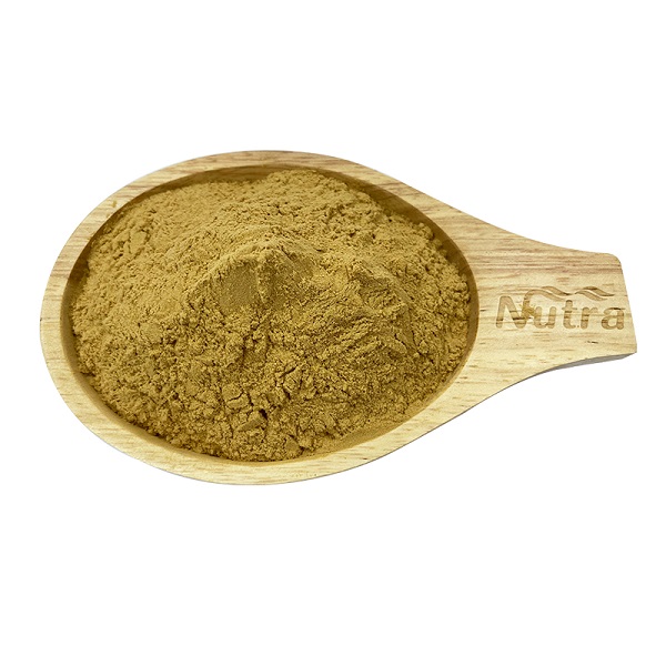 Hot Sell Noni Extract Organic Noni Fruit Extract Powder Enhance Cellular Health