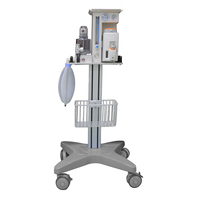 DM-6C китайская медицинская дешевая цена 10 параметров ветеринарная машина для анестезии