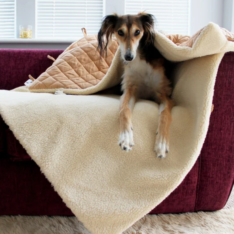 Quilted Snuggle Sack Dog Bed Blanket Sofa Cover Dachshund Snuggle Sack Dog Beds Removable Cover Luxury Pet Bed