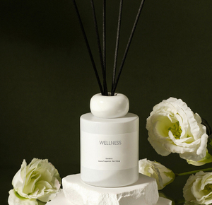 WELLNESS Custom Home Decor Luxury Ceramic Bottle Fire Free Reed Diffuser Perfume Essential Oils aromatherapy air fresheners Gift