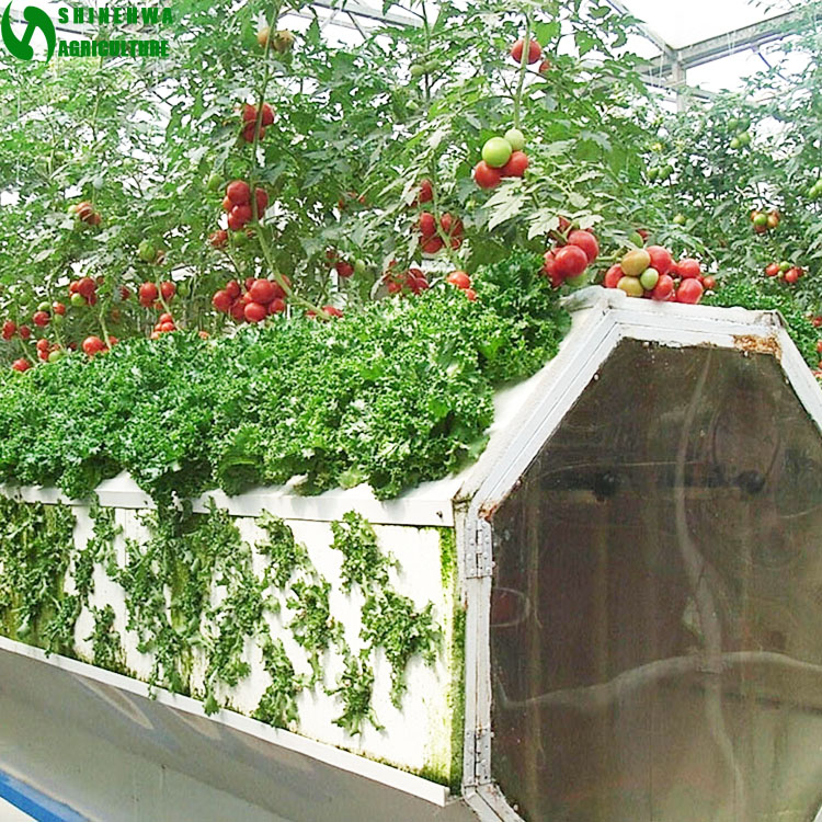 Высокое качество Горячая продажа Коммерческая аэропоника гидропонная система для теплицы