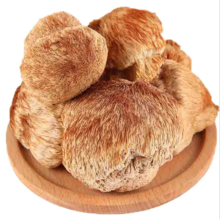 Dried lions mane mushroom & Dried Hericium erinaceus mushroom