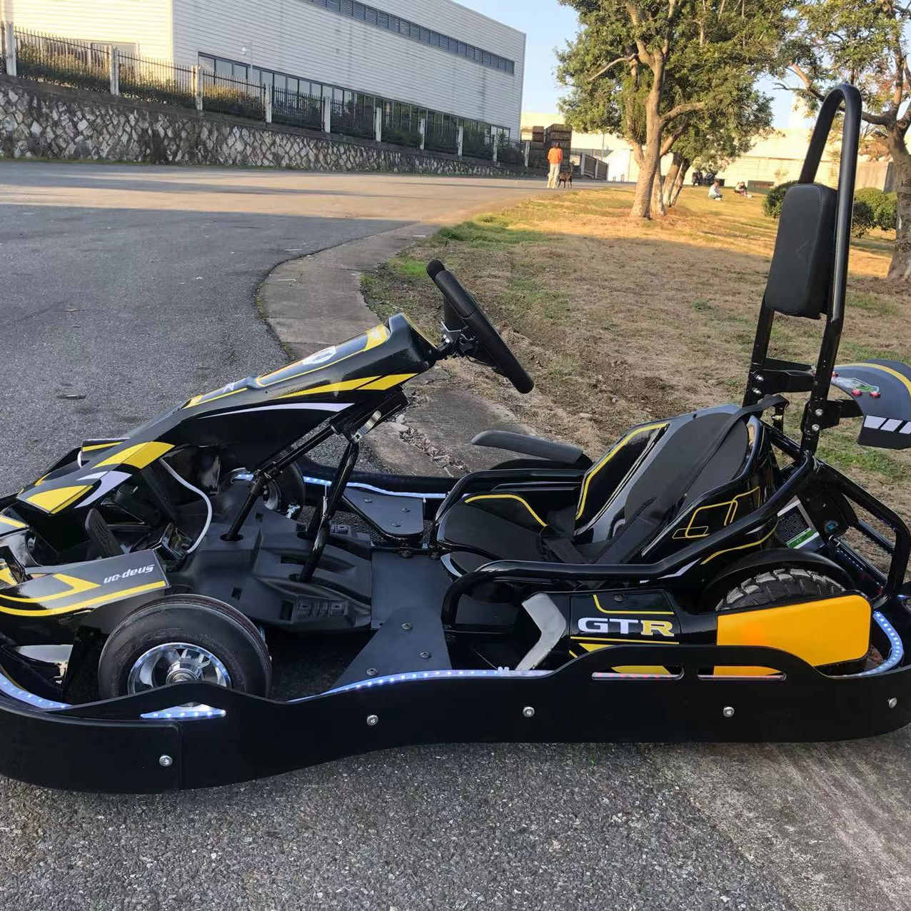 Профессиональный высокоскоростной гоночный скутер Go Karting для детей и взрослых Электрический гоночный карт для продажи