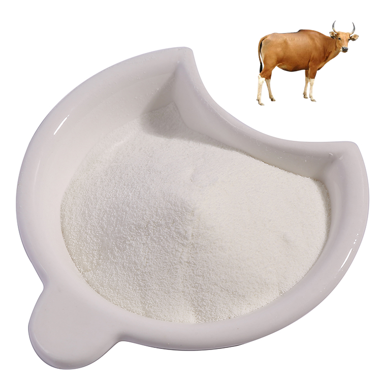 Food Grade Bone Collagen Peptide Skin Whitening Collagen Peptides Powder