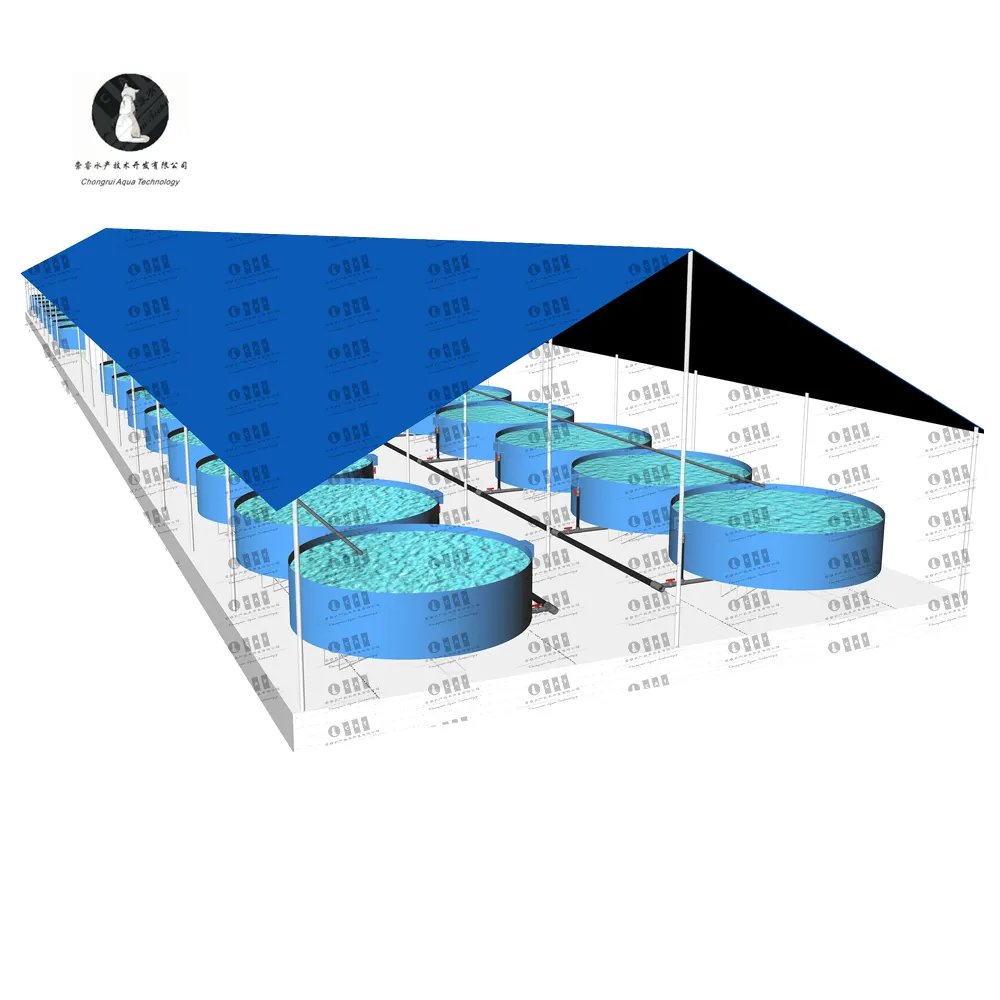 Fish Farm Filter System Ras Modern Agricultural Fish Farming Equipment Tools for Sale