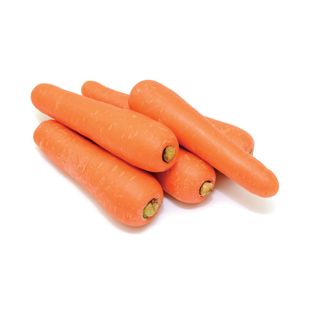 Fresh Carrot from Egypt