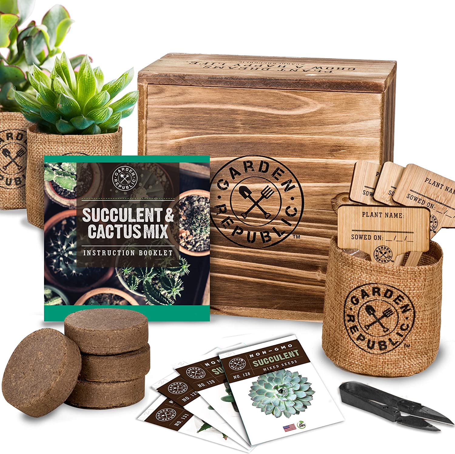 Hot sale Amazon 4 types indoor mini bonsai plant growing kit for gardening Fathers day gifts