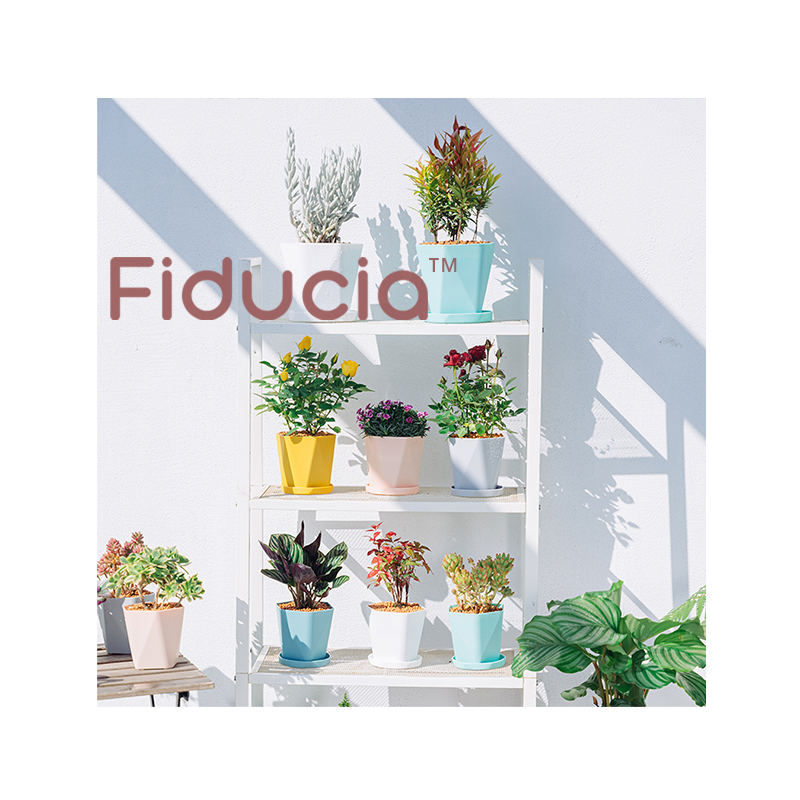 New Trade Festival Wholesale 6 Bright Color Polygonal Plastic Flower Pots & Planters with Tray Modern Design Small Nursery