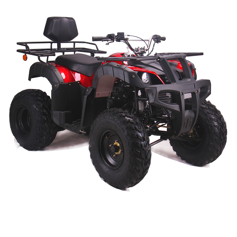 Китай вездеход 250CC Quad велосипед дети ATV