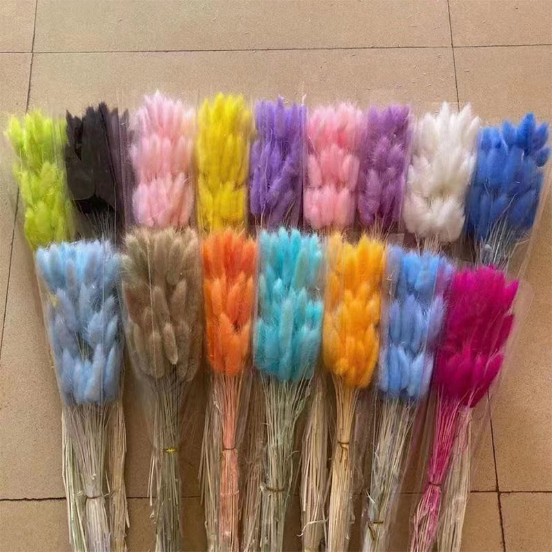 Dried Bunny Tails Natural Lagurus Ovatus Lamb Tails Home Wedding Decor Pampas Grass Dry Flowers Bunny Tails Grass