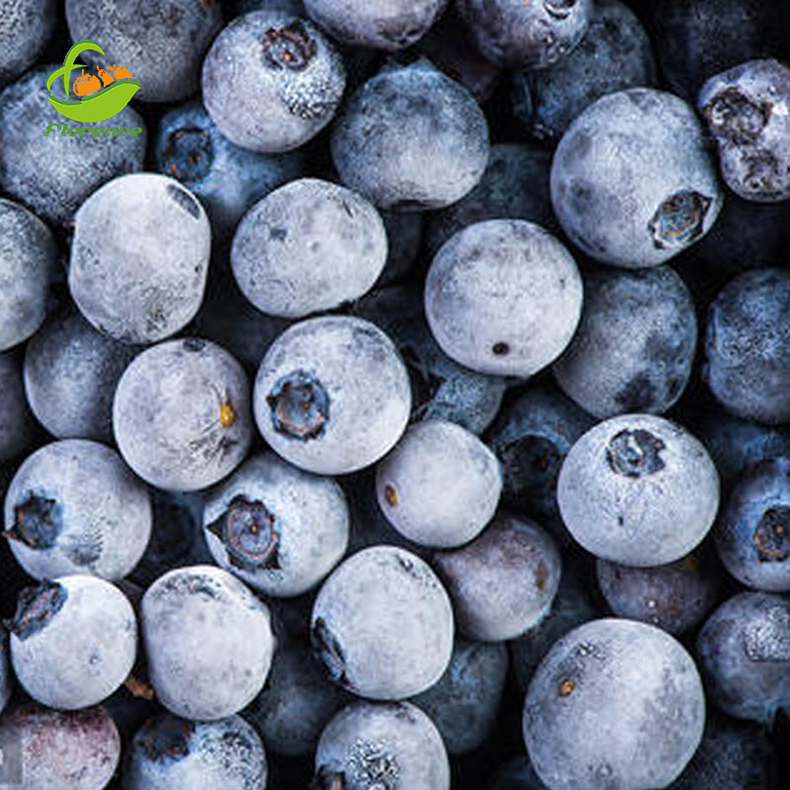 Import Bulk Berries Fruits Prices Frozen Fresh Blueberries Iqf frozen blueberry