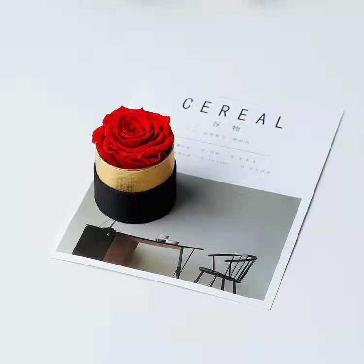 Preserved Fresh Flower Long lasting Natural Dried Flower Rose in Mini box beautiful gift