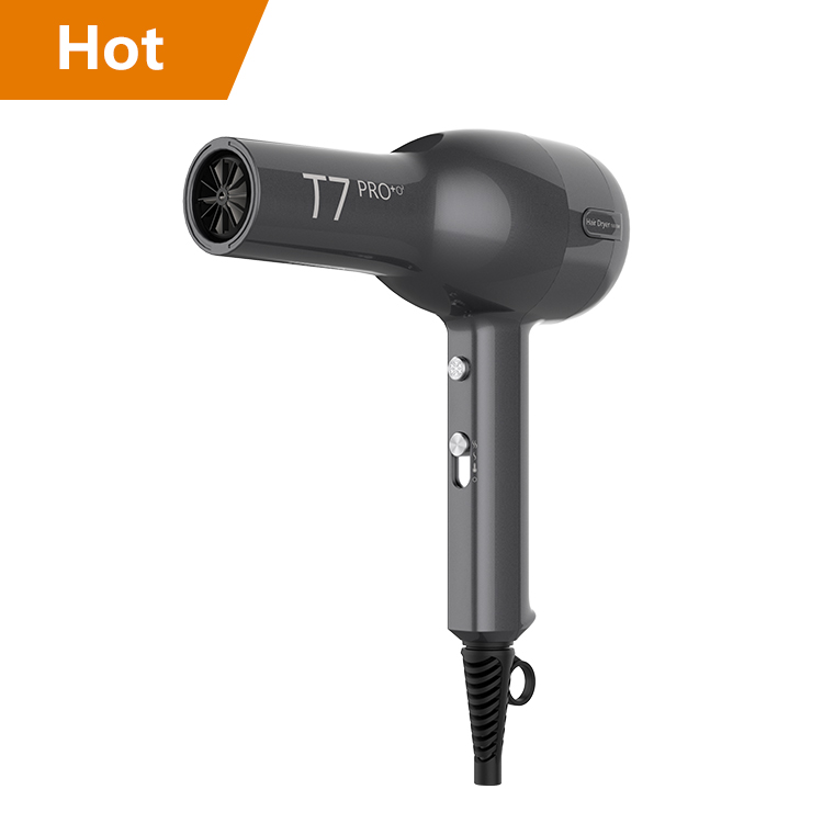 2021 Newest Custom BLDC Hair Dryer Large Air Volume High Speed Hair Blow Dryer From Manufactory