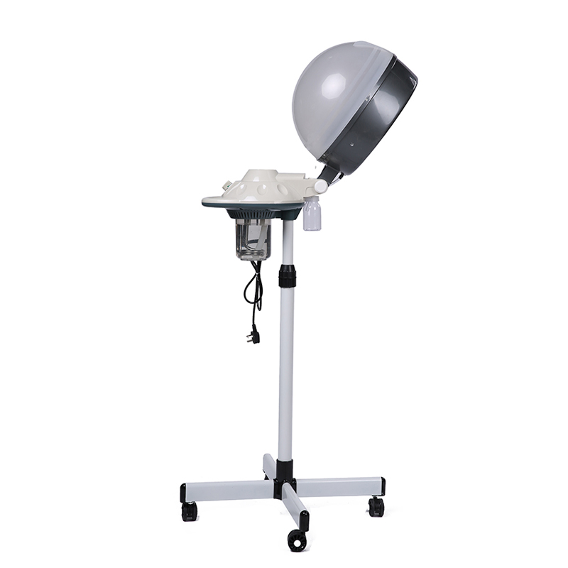 Hotsale Hair Steamer.Digital Control Temperature With Ozone ionic and Dryer Function