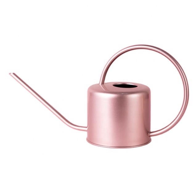 Modern Watering can Pink Color Garden Can Stainless Steel Watering Can for home garden decoration