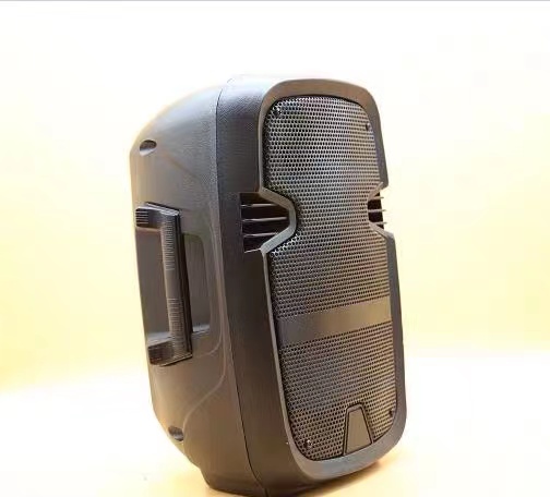 W-6008 Karaoke portable 8 inch battery speaker