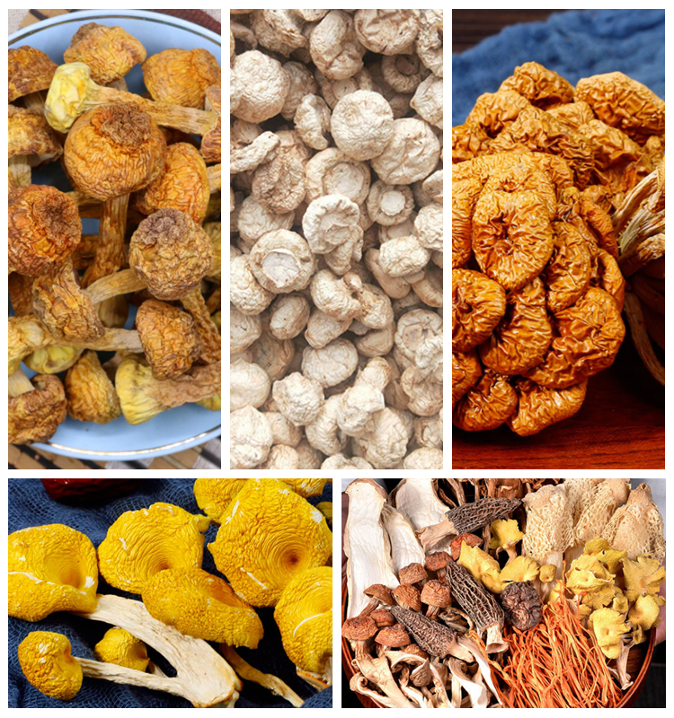 Food grade Premium quality raw natural china bulk zhuling dried Umbellate Pore Fungus slices