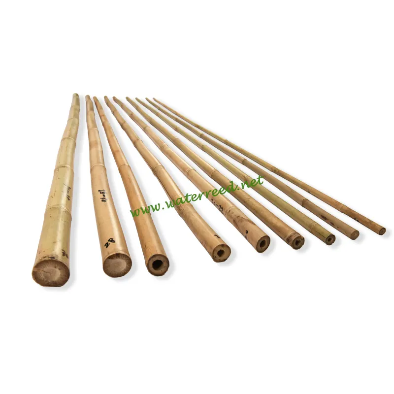 Wholesale decoration natural bamboo pole canes
