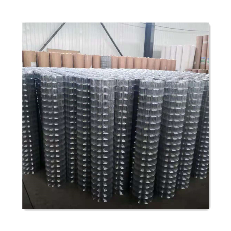 Galvanized welded mesh factory direct sale