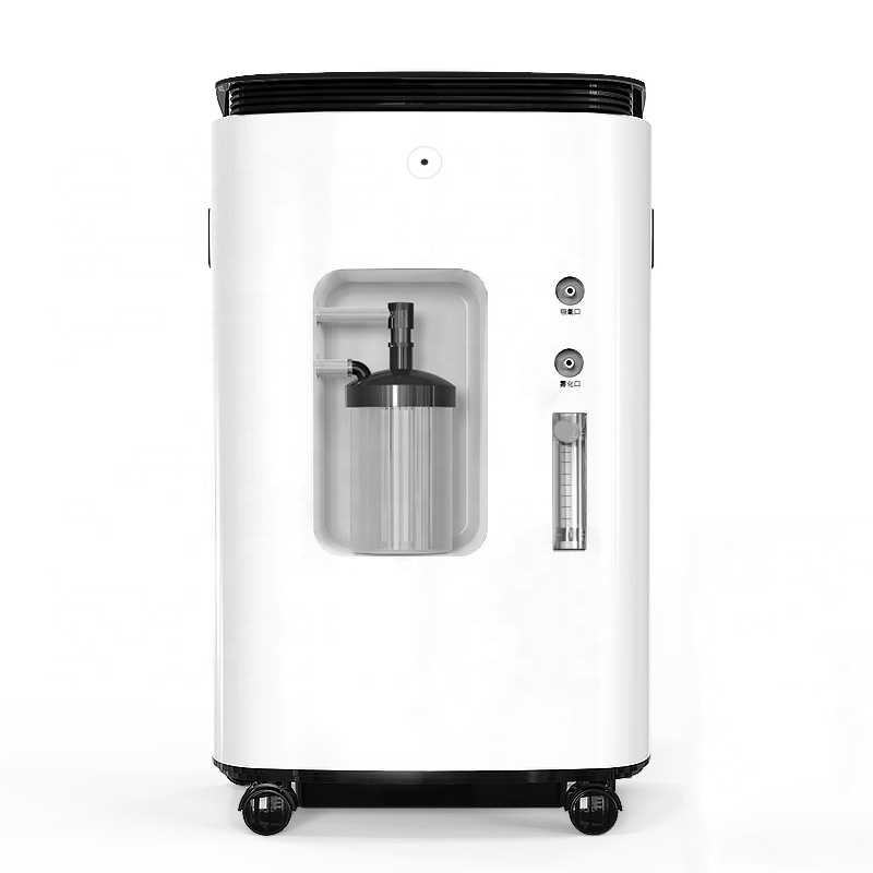 CE Certified Portable Electric Oxygen Machine Mini Oxygen Concentrator For Home Hospital Use