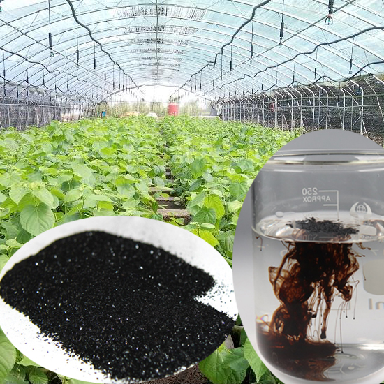 Ningxia Humate Высококачественный супер-калий fulvate спрей гуминовая кислота лиственное распыление питательные удобрения