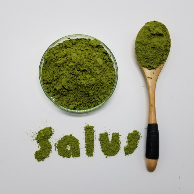 Высокое качество Matcha оптом