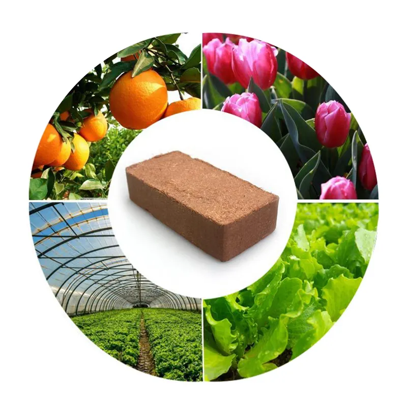 Biodegradable Cocopeat Blocks for Plant Growth Coco Pith Coir Fiber Pith for growing plant with best price Product