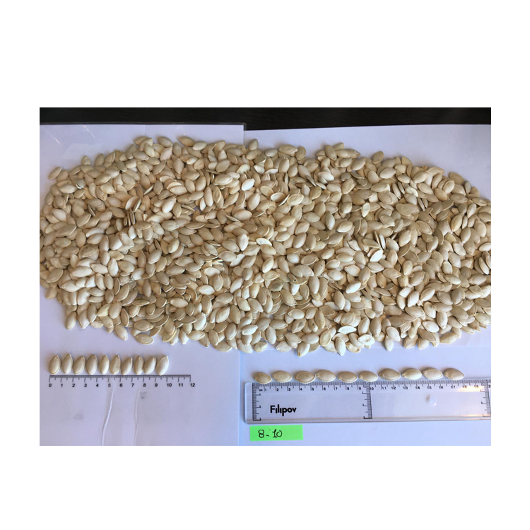 Pumpkin seeds Shine Skin Wholesale Good Quality At Factory Price Pumpkin seeds Sale Premium QUALITY Snack Origin Packaging