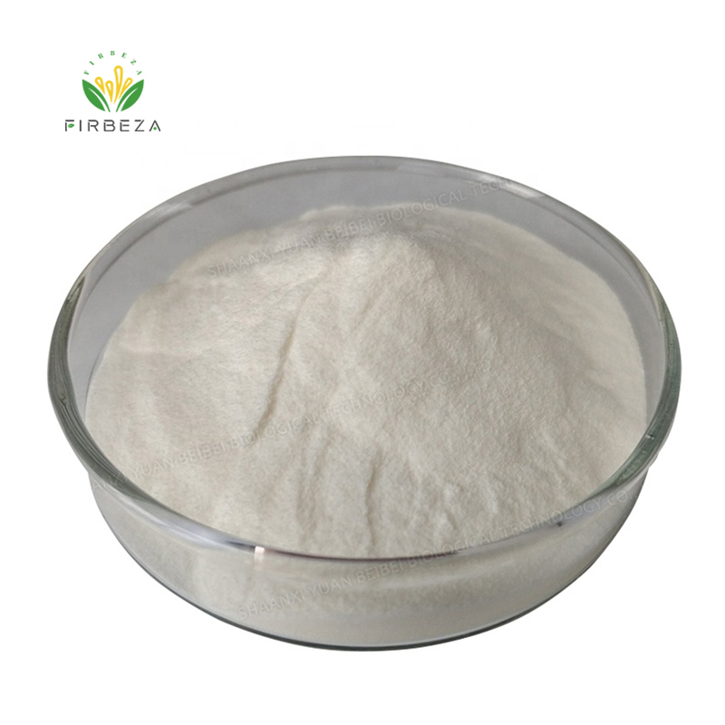 Wholesale Price High Quality Snail Slime Protein Powder