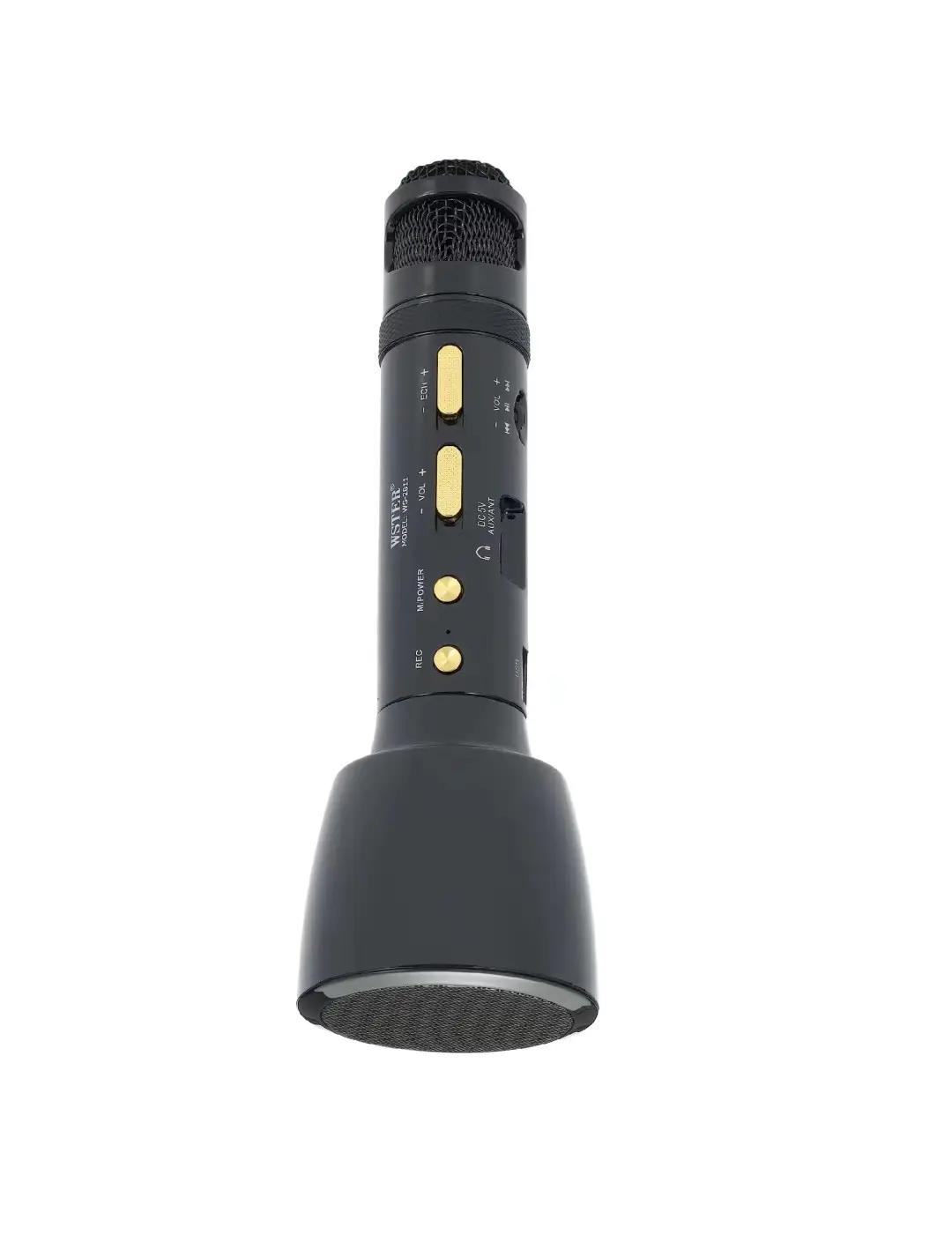 WS2811Botao Поддержка USB TF карта FM радио с диско-подсветкой беспроводной детский микрофон караоке динамик