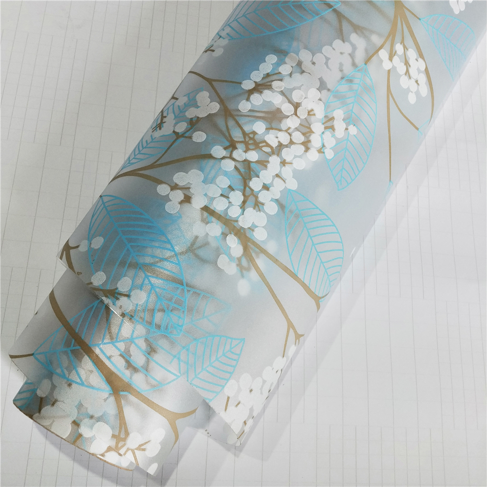Anolly ECO Solvent Printable Clear Glass Decoration Window Film