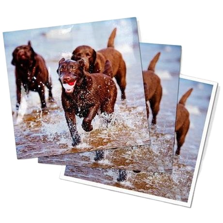Premium adhesion 20 sheets self adhesive glossy white inkjet photo paper