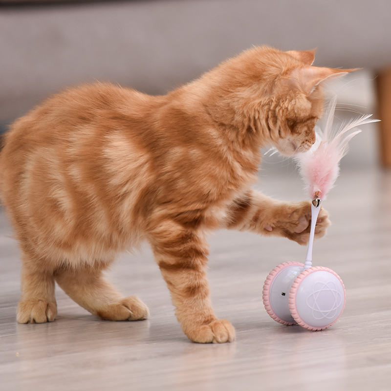 Factory Wholesale Electronic Removable Interactive Cat Toy  Smart Electric Running Balance Car Cat Toy Sets