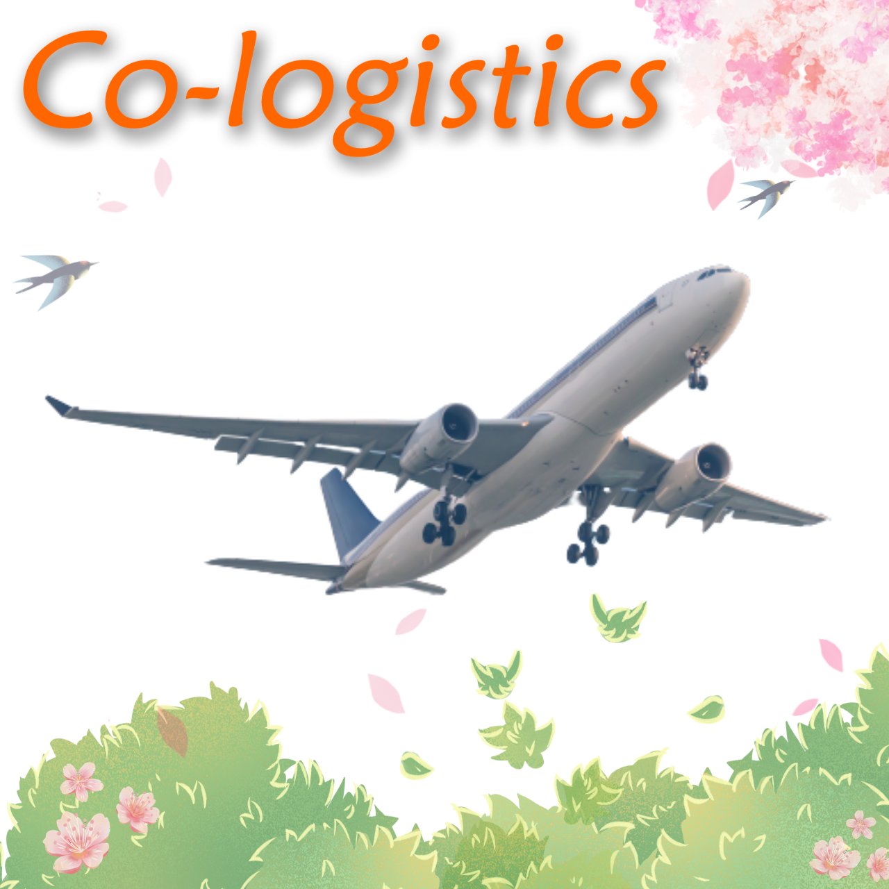 DHL/UPS/экспресс-доставка из Гуандуна, Китая в США/Европу/другие страны