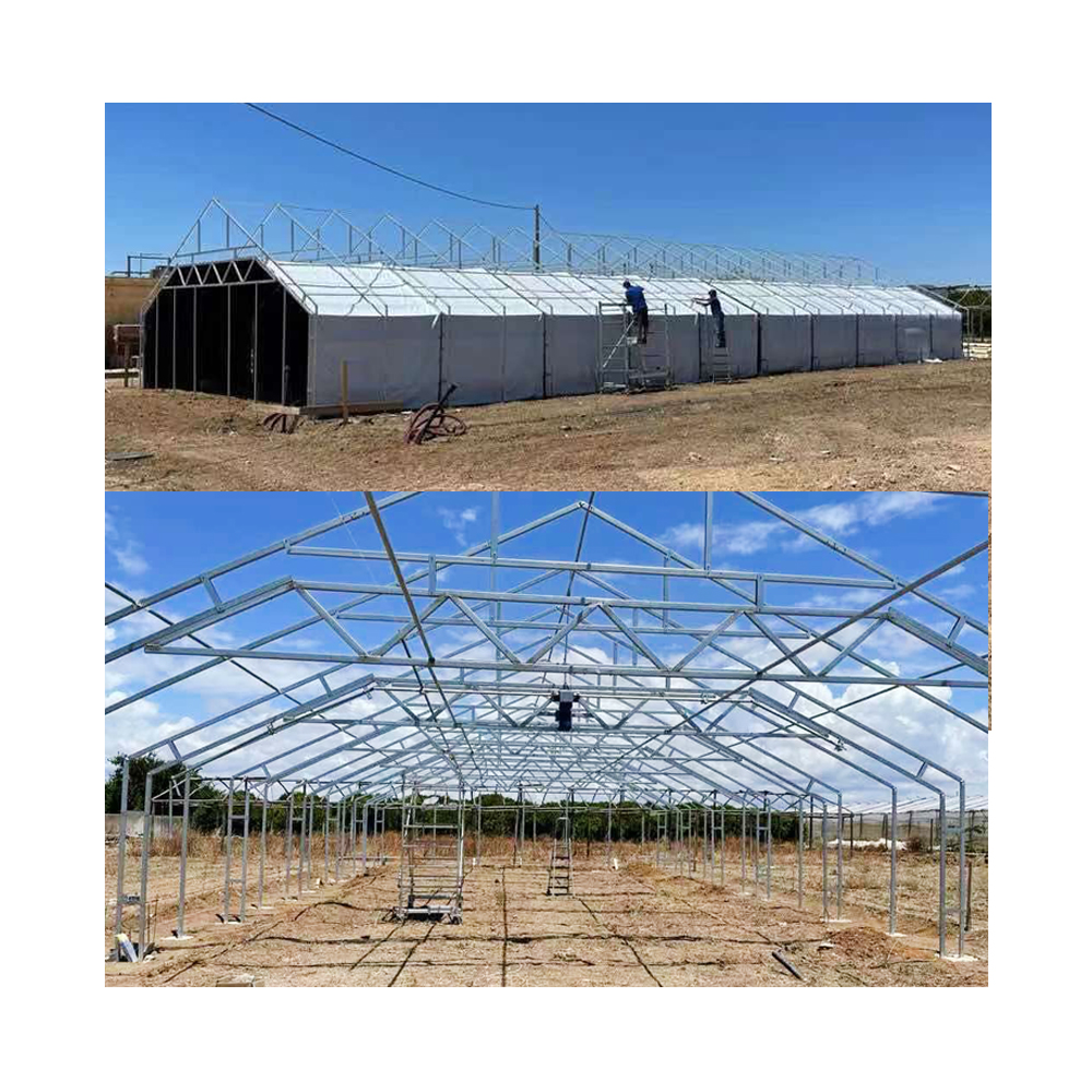 Light Deprivation Greenhouse hemp growing hoop house tunnel mushroom green house with galvanized steel frame