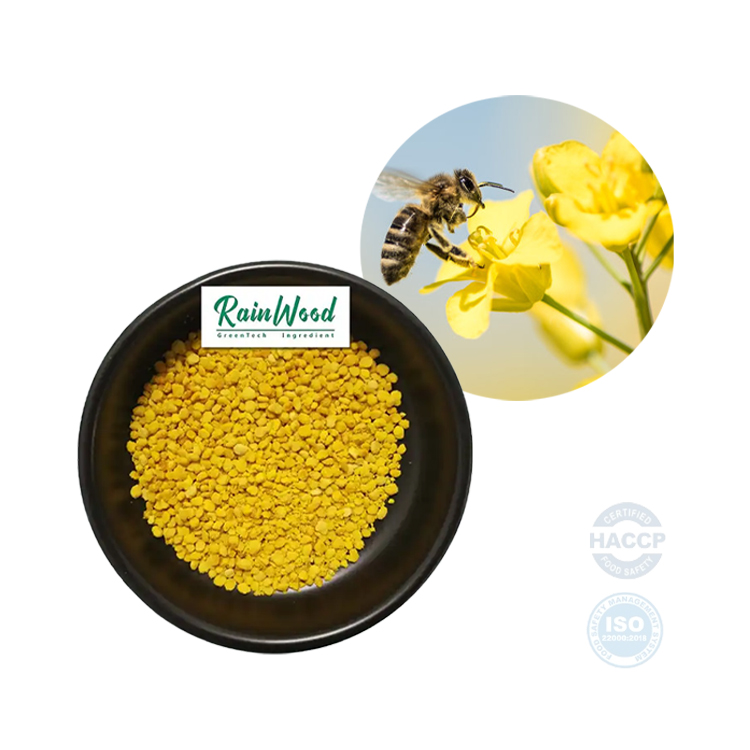 Rainwood high quality natural bee pollen powder factory supply pollen powder free sample bee pollen organic for sale