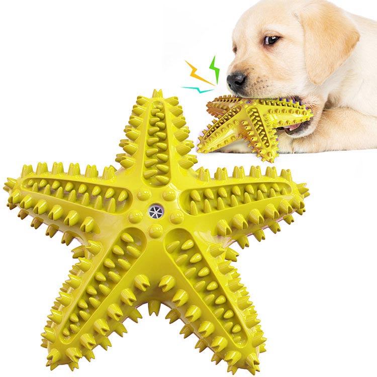 Private Label Ball Squeaker Tooth Brush Large Dog Toothbrush Chew Toy