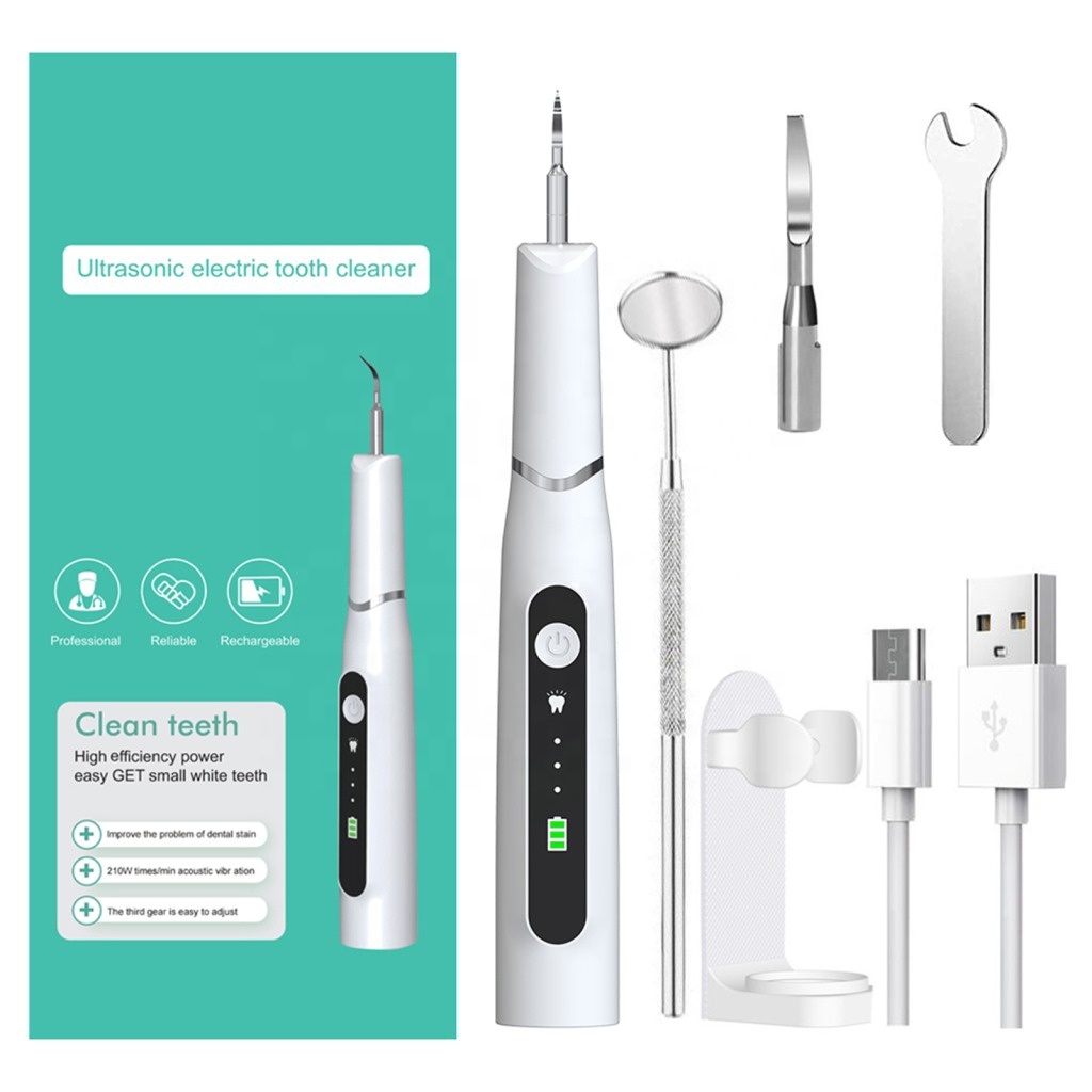With USB Rechargeable Electric Dental Brush Calculus Sonic Plaque Removable Accustic Teeth Cleaner Private Label