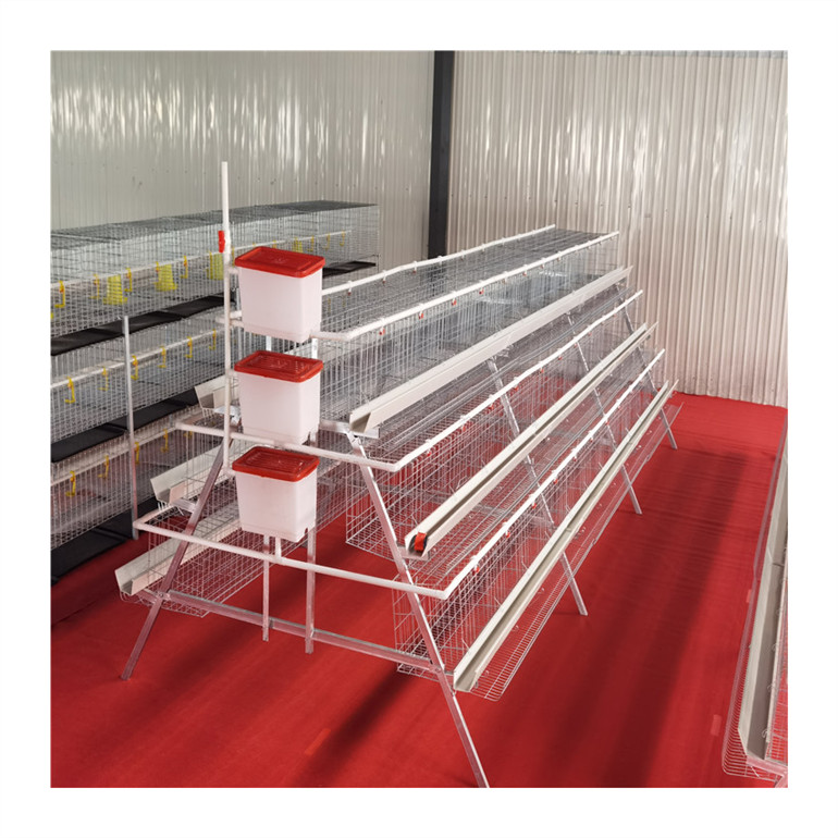 Battery Chicken Cages Egg Layer Cages For Sale 96 Chickens Capacity Per Set