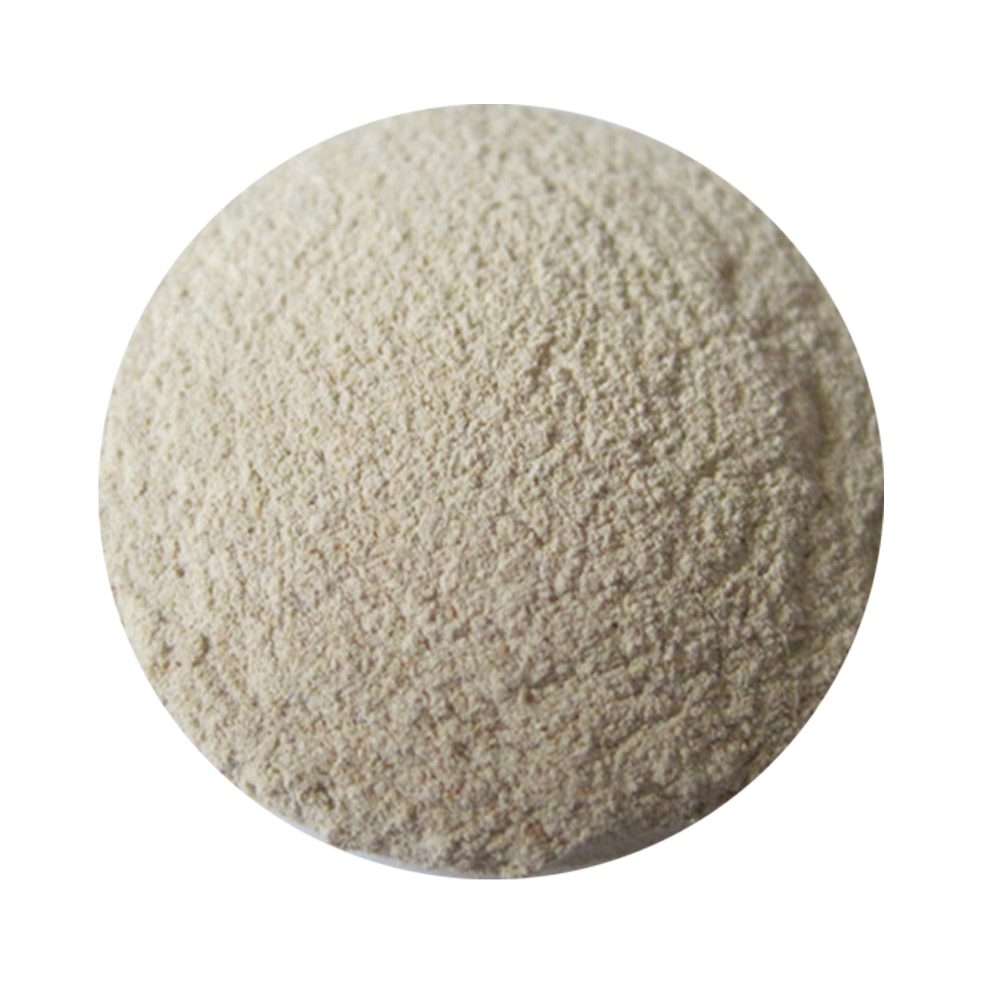 Xylanase Enzyme High Content Feed Grade Enzyme Factory